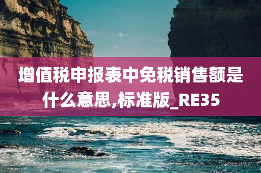 增值税申报表中免税销售额是什么意思,标准版_RE35