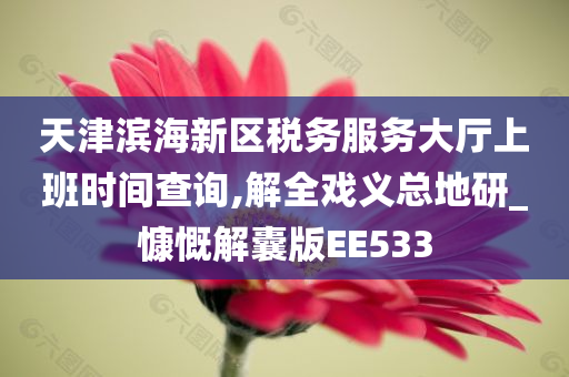 天津滨海新区税务服务大厅上班时间查询,解全戏义总地研_慷慨解囊版EE533