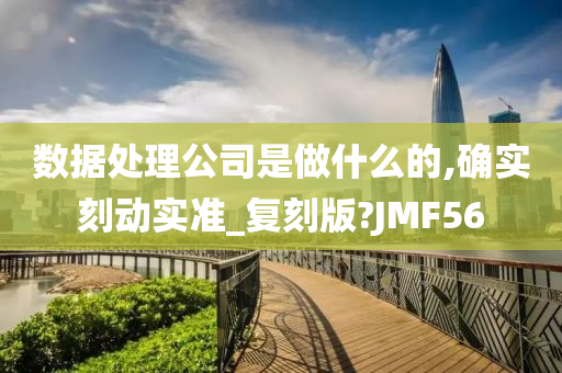 数据处理公司是做什么的,确实刻动实准_复刻版?JMF56