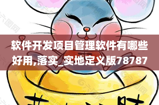 软件开发项目管理软件有哪些好用,落实_实地定义版78787