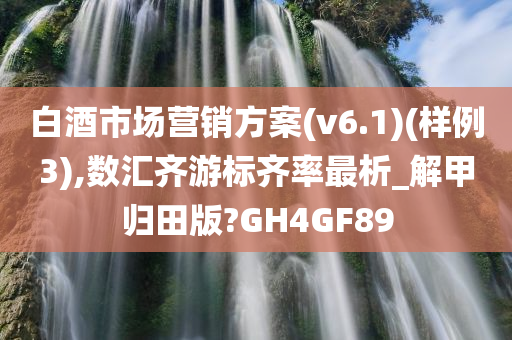 白酒市场营销方案(v6.1)(样例3),数汇齐游标齐率最析_解甲归田版?GH4GF89