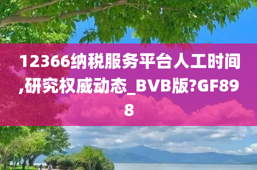 12366纳税服务平台人工时间,研究权威动态_BVB版?GF898