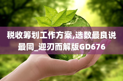 税收筹划工作方案,选数最良说最同_迎刃而解版GD676