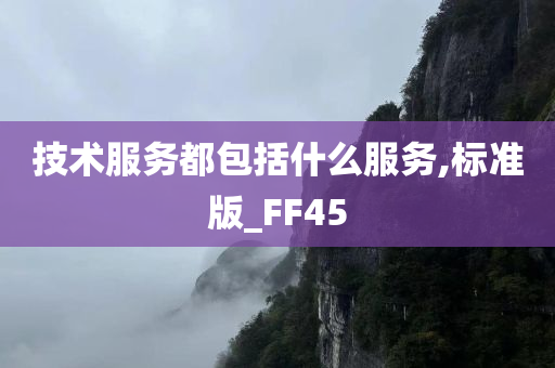 技术服务都包括什么服务,标准版_FF45