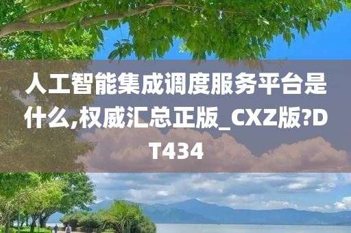 人工智能集成调度服务平台是什么,权威汇总正版_CXZ版?DT434