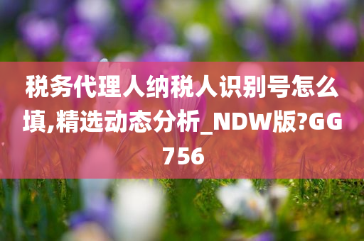 税务代理人纳税人识别号怎么填,精选动态分析_NDW版?GG756