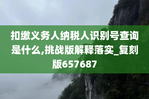 扣缴义务人纳税人识别号查询是什么,挑战版解释落实_复刻版657687