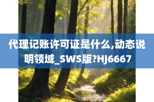 代理记账许可证是什么,动态说明领域_SWS版?HJ6667