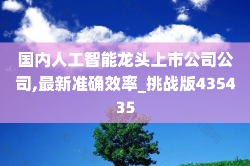 国内人工智能龙头上市公司公司,最新准确效率_挑战版435435