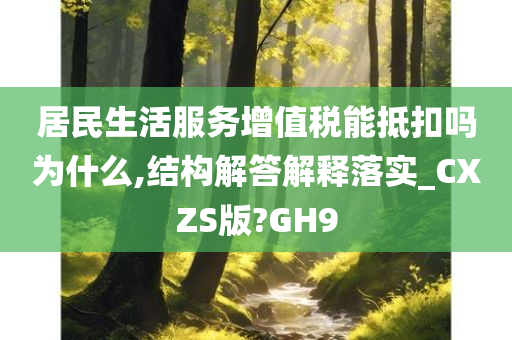 居民生活服务增值税能抵扣吗为什么,结构解答解释落实_CXZS版?GH9