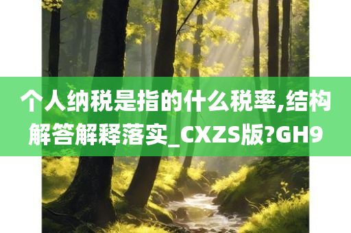 个人纳税是指的什么税率,结构解答解释落实_CXZS版?GH9