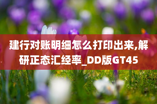 建行对账明细怎么打印出来,解研正态汇经率_DD版GT45