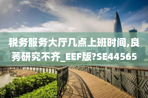 税务服务大厅几点上班时间,良莠研究不齐_EEF版?SE44565