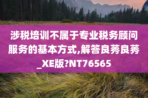 涉税培训不属于专业税务顾问服务的基本方式,解答良莠良莠_XE版?NT76565