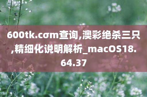 600tk.cσm查询,澳彩绝杀三只,精细化说明解析_macOS18.64.37