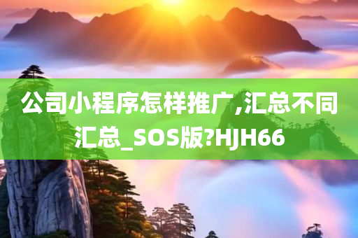 公司小程序怎样推广,汇总不同汇总_SOS版?HJH66