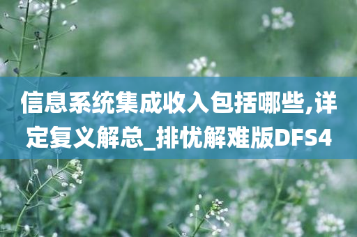 信息系统集成收入包括哪些,详定复义解总_排忧解难版DFS4