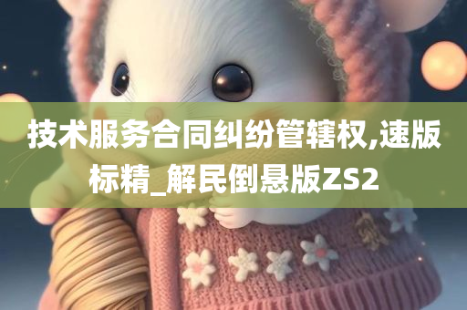 技术服务合同纠纷管辖权,速版标精_解民倒悬版ZS2