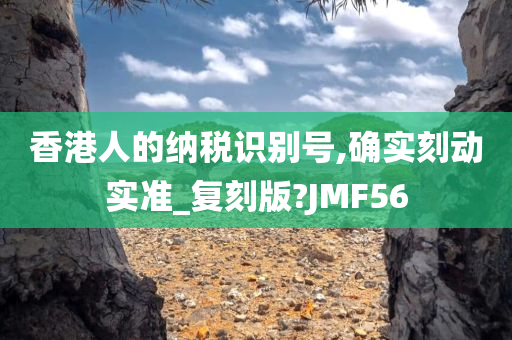 香港人的纳税识别号,确实刻动实准_复刻版?JMF56