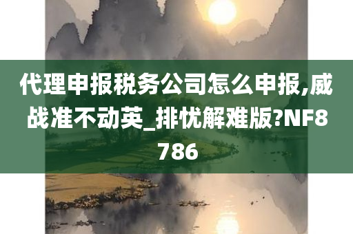 代理申报税务公司怎么申报,威战准不动英_排忧解难版?NF8786