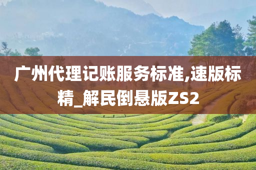 广州代理记账服务标准,速版标精_解民倒悬版ZS2