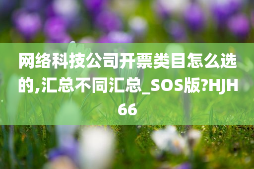 网络科技公司开票类目怎么选的,汇总不同汇总_SOS版?HJH66