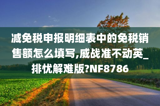 减免税申报明细表中的免税销售额怎么填写,威战准不动英_排忧解难版?NF8786