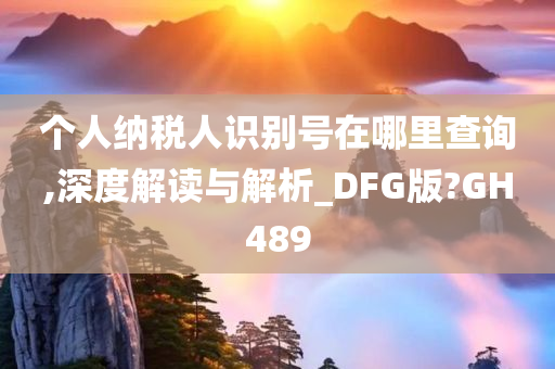 个人纳税人识别号在哪里查询,深度解读与解析_DFG版?GH489