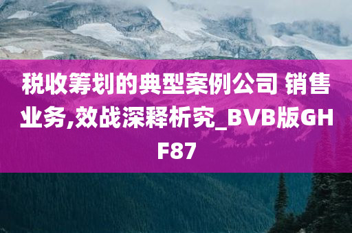 税收筹划的典型案例公司 销售业务,效战深释析究_BVB版GHF87