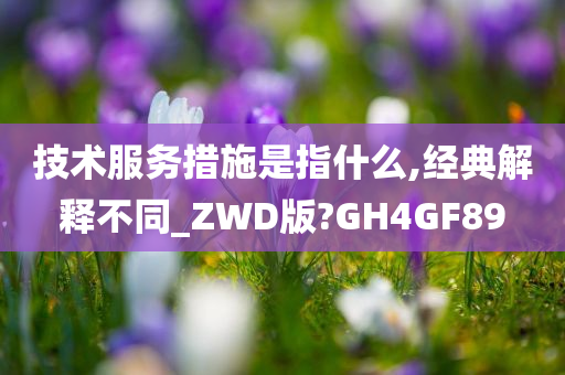 技术服务措施是指什么,经典解释不同_ZWD版?GH4GF89