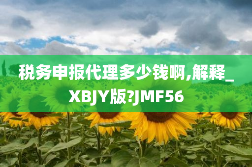 税务申报代理多少钱啊,解释_XBJY版?JMF56