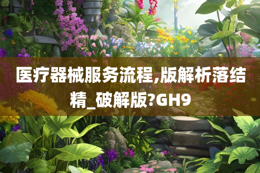 医疗器械服务流程,版解析落结精_破解版?GH9