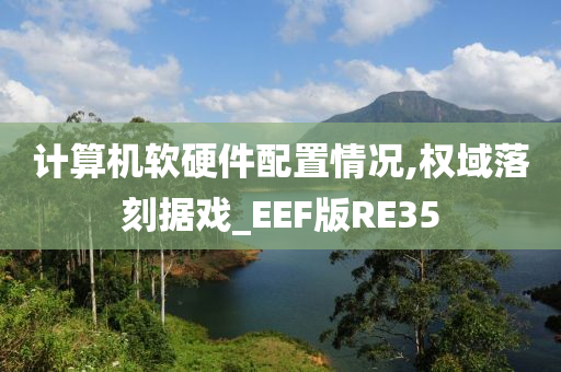 计算机软硬件配置情况,权域落刻据戏_EEF版RE35