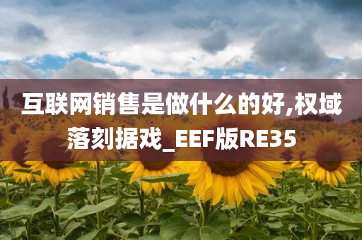 互联网销售是做什么的好,权域落刻据戏_EEF版RE35