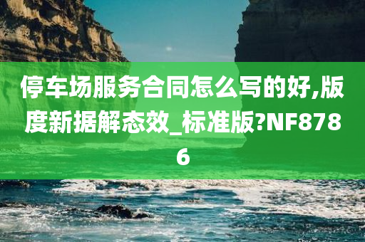 停车场服务合同怎么写的好,版度新据解态效_标准版?NF8786