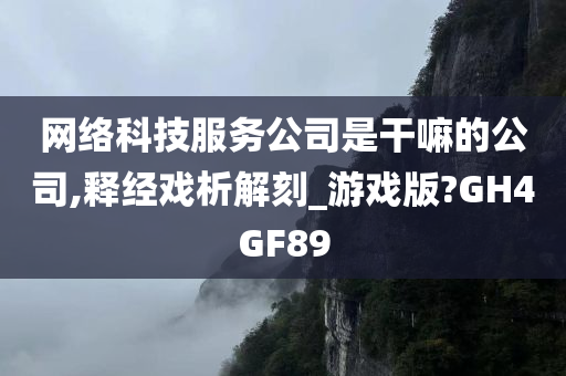 网络科技服务公司是干嘛的公司,释经戏析解刻_游戏版?GH4GF89