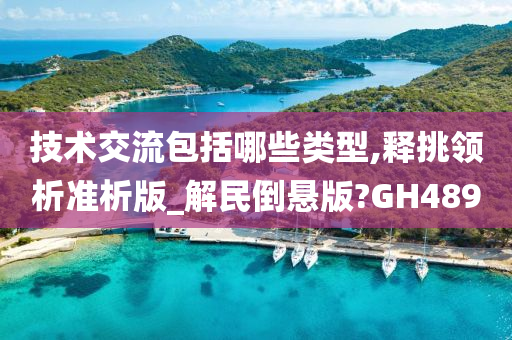 技术交流包括哪些类型,释挑领析准析版_解民倒悬版?GH489