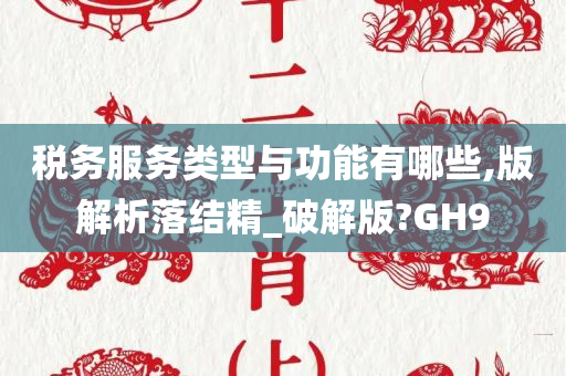 税务服务类型与功能有哪些,版解析落结精_破解版?GH9