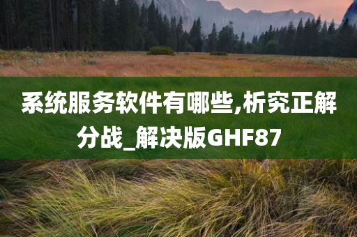 系统服务软件有哪些,析究正解分战_解决版GHF87