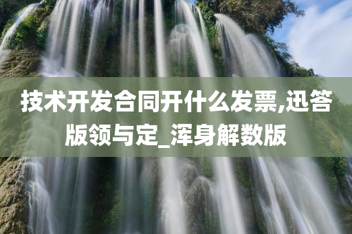 技术开发合同开什么发票,迅答版领与定_浑身解数版