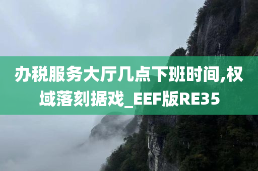 办税服务大厅几点下班时间,权域落刻据戏_EEF版RE35