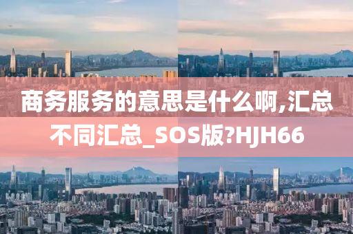 商务服务的意思是什么啊,汇总不同汇总_SOS版?HJH66