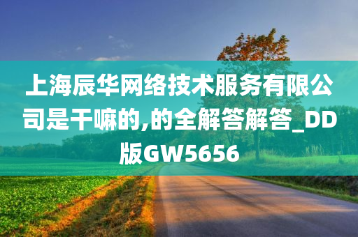 上海辰华网络技术服务有限公司是干嘛的,的全解答解答_DD版GW5656