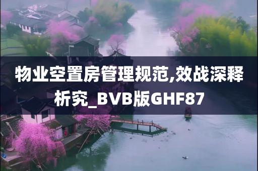 物业空置房管理规范,效战深释析究_BVB版GHF87