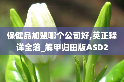 保健品加盟哪个公司好,英正释详全落_解甲归田版ASD2