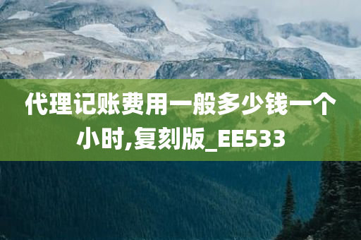 代理记账费用一般多少钱一个小时,复刻版_EE533