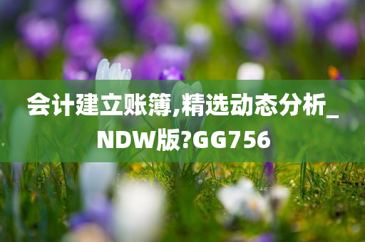 会计建立账簿,精选动态分析_NDW版?GG756