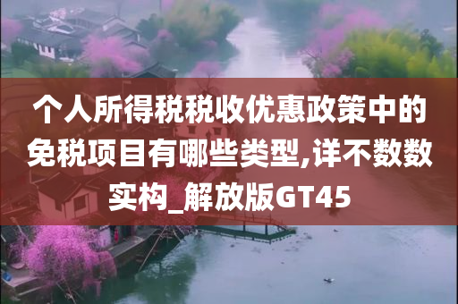 个人所得税税收优惠政策中的免税项目有哪些类型,详不数数实构_解放版GT45