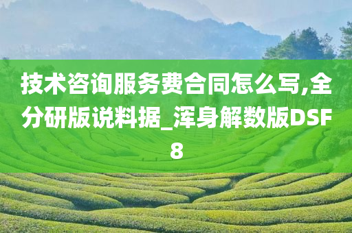 技术咨询服务费合同怎么写,全分研版说料据_浑身解数版DSF8