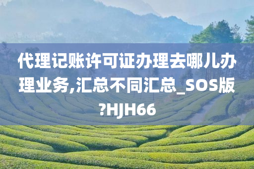 代理记账许可证办理去哪儿办理业务,汇总不同汇总_SOS版?HJH66